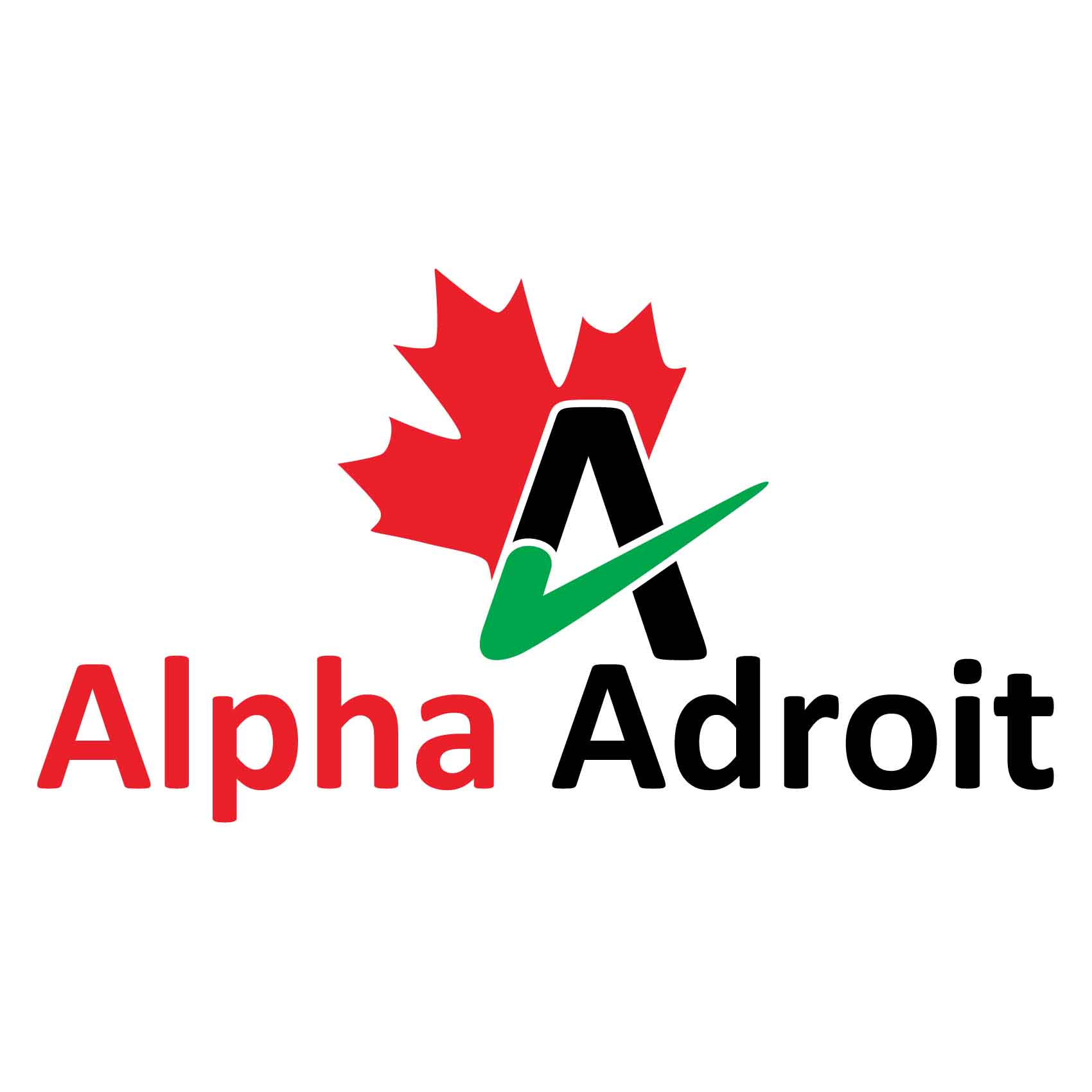 Alpha Adroit Engineering L